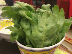 -芦月轩羊蝎子(北蜂窝店)