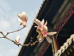 -潭柘寺景区