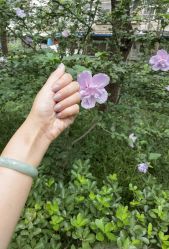 -如一·美甲美睫