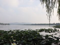 -西湖外事游船(花港观鱼码头)