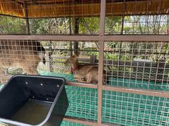 -珠海海泉湾神秘岛亲子乐园