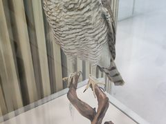 -陕西科学技术馆