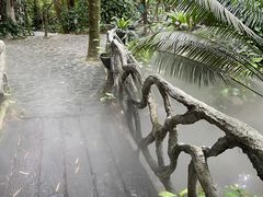 -呀诺达热带雨林