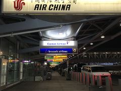 -约翰·菲茨杰拉德·肯尼迪国际机场