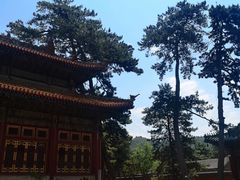 -磬锤峰森林公园