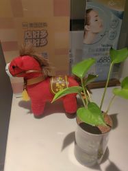 点击看大图 -Girmainy SPA杰美妮