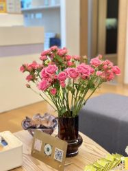 -ROYEA茹彦祛痘·问题肌肤修护中心