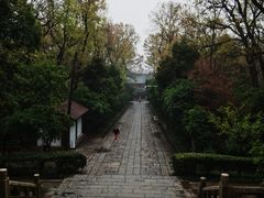 -灵谷景区
