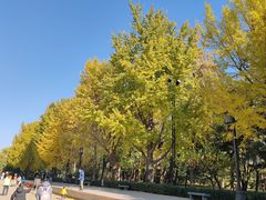-玲珑塔公园