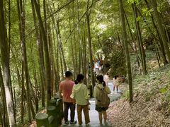 -藏龙百瀑风景区