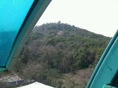 android_upload_pic-赭山公园