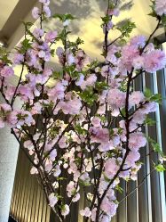 -VELEE·SPA高定疗愈会所