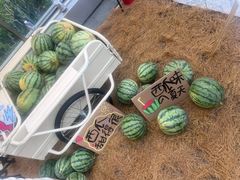 -中海环宇荟