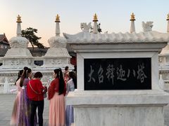 -大召释迦八塔