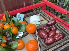 -巴克创奇梦工厂