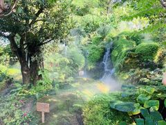 -Chom Cafe and Restaurant