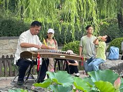 -莲花池公园