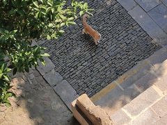 -采石矶景区