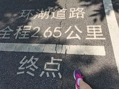 -海珠湖公园