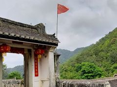 -雁南飞茶田景区