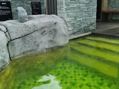 -北京乐多港万豪酒店汤乐宫温泉