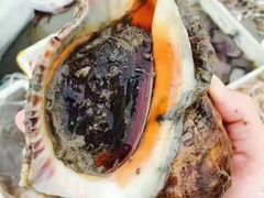 -海滨假日渔家海鲜