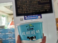 -正飞鲜奶(南湖一期店)