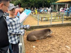 -西霞口神雕山野生动物世界