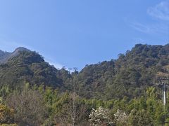 -蒙古人烤羊大师·草原料理(工农大路店)
