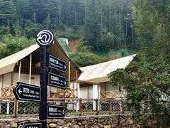 -江西阳明山国家森林公园