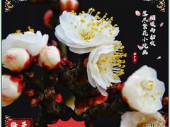 -莘庄梅园