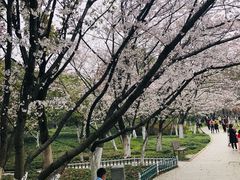 -范蠡湖公园