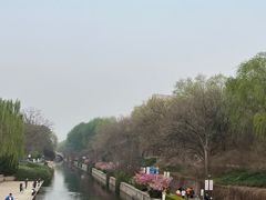 -元大都城垣遗址公园