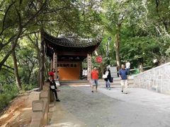 -灵岩山风景区