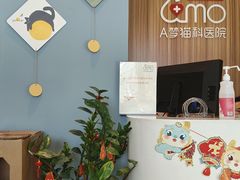 -御宝贝·A梦猫科宠物医院(国际猫友好医院)