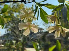 -龙佳生态温泉山庄