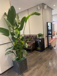 -崇尚GAVIN STYLE臻选