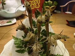 -尚海豆捞(乐虹坊店)