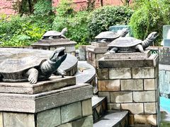 -广州神农草堂中医药博物馆