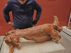 -双公羊·馕坑烤全羊(奥体店)