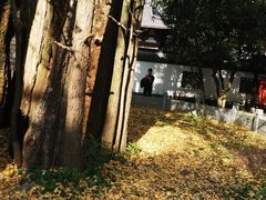 -西湖风景区十里琅珰-五云山