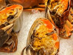 -香港狮子山下·明星粤菜餐厅(北苑店)