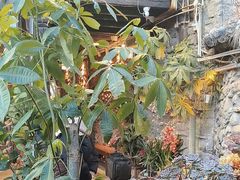 -尽善百年古院餐厅(王家老宅店)