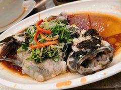 清蒸笋壳鱼-新世纪大酒楼·30年南海菜