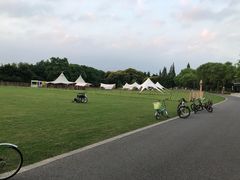 -昆山城市生态森林公园