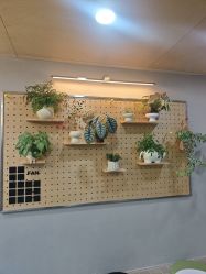 -十六番发型师事务所
