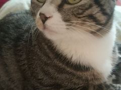 -康乐宝动物医院