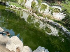 -原山国家森林公园