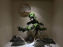 -璞禅足道(观音桥旗舰店)