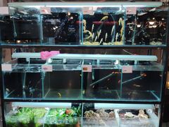 -宠物世家(仲盛世界商城店)